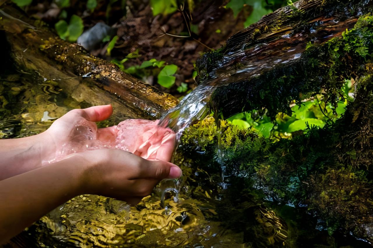 The Impact of Water Quality on Coffee Flavor: How to Choose the Best Water for Brewing